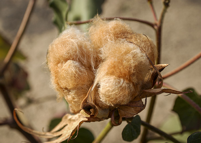 Ritmo de negócios melhora no Brasil